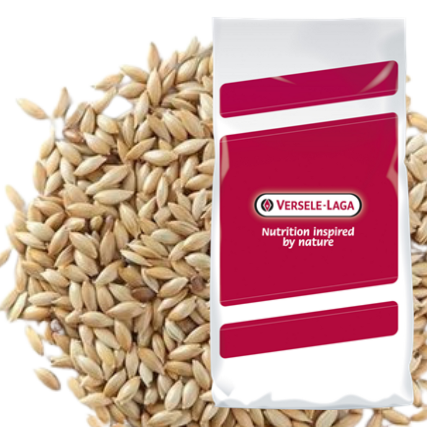 Canary Seed 25Kg