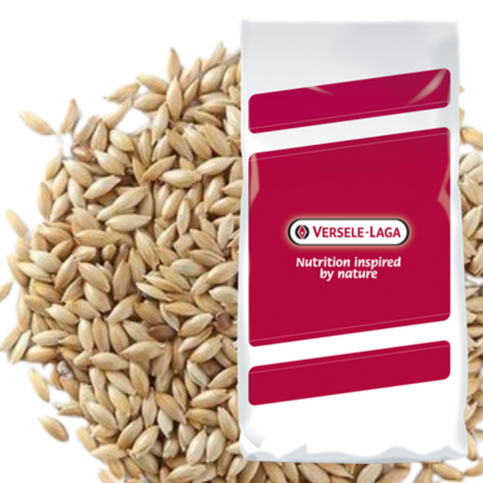 Canary Seed 25Kg