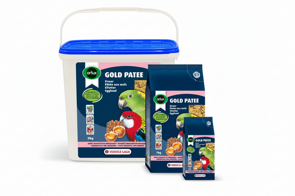 Gold Patee Large Parakeets & Parrots