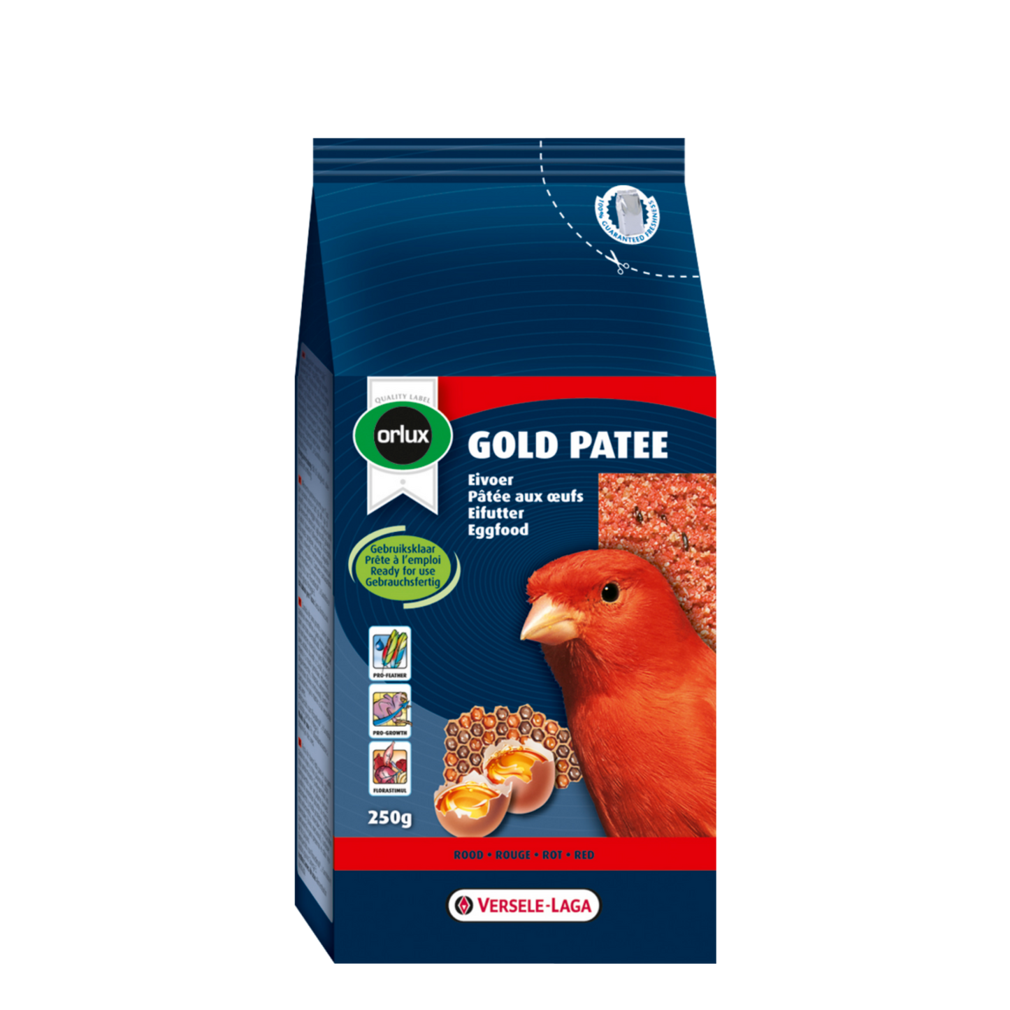 Gold Patee Canaries Red