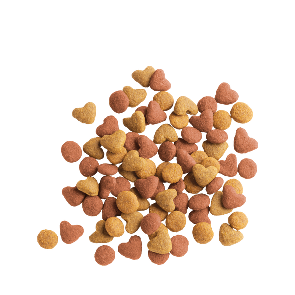 Lara Junior Chicken 2Kg