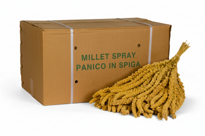 Darı spreyleri 15 kg