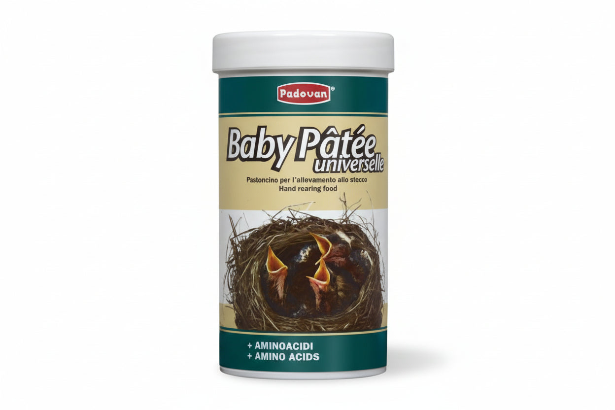 Baby Pate
