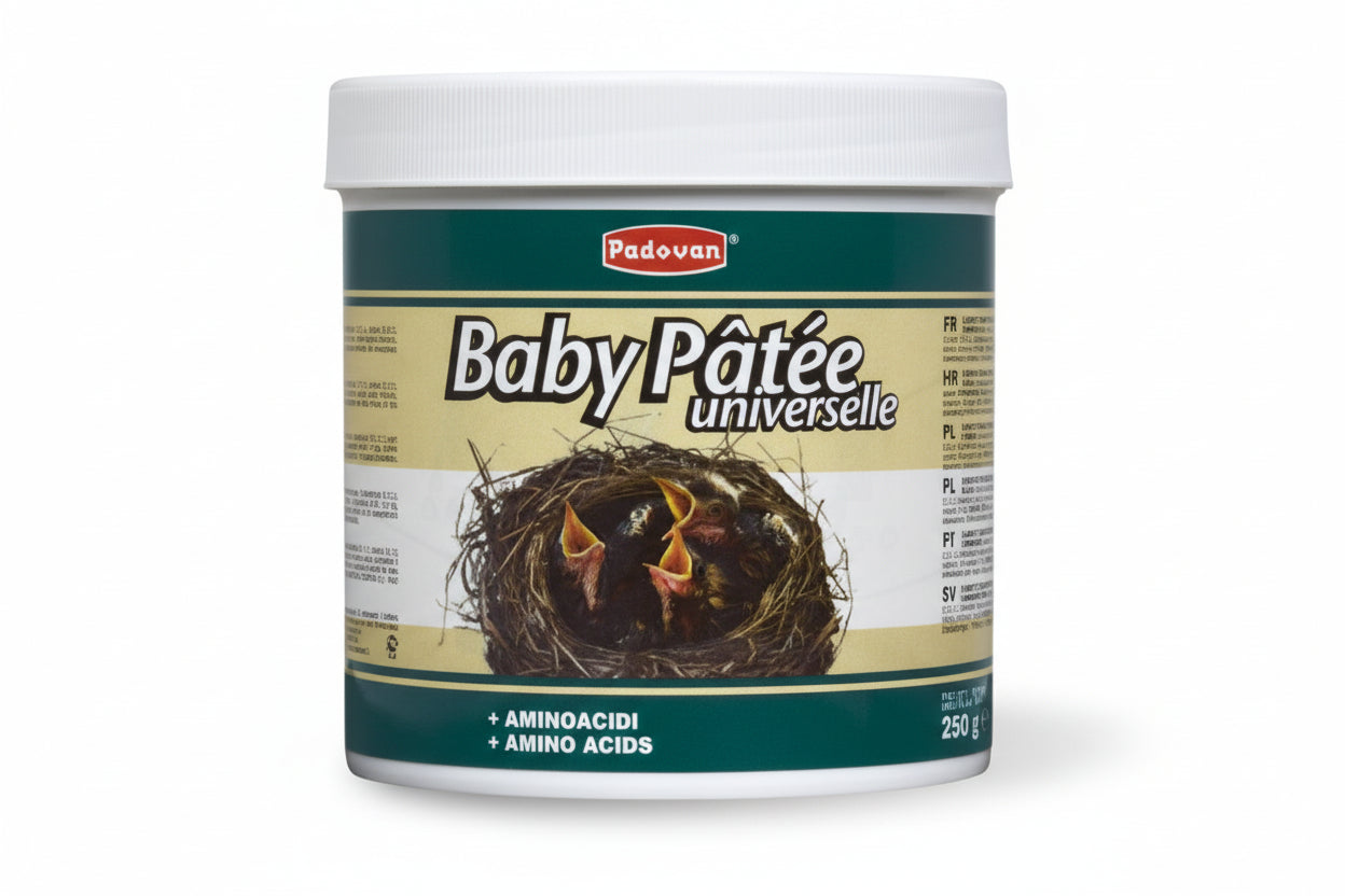 Baby Pate