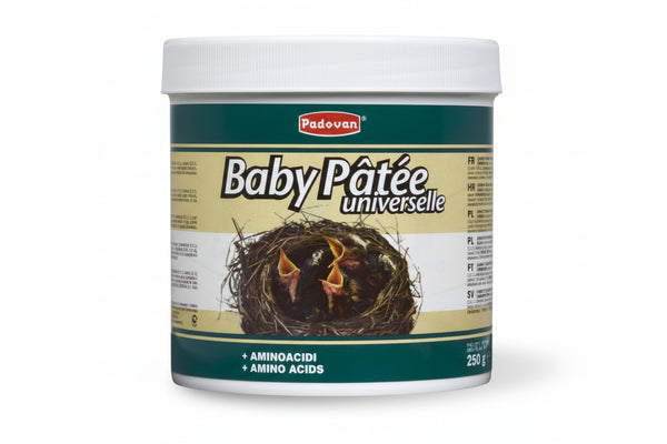 Baby Pate