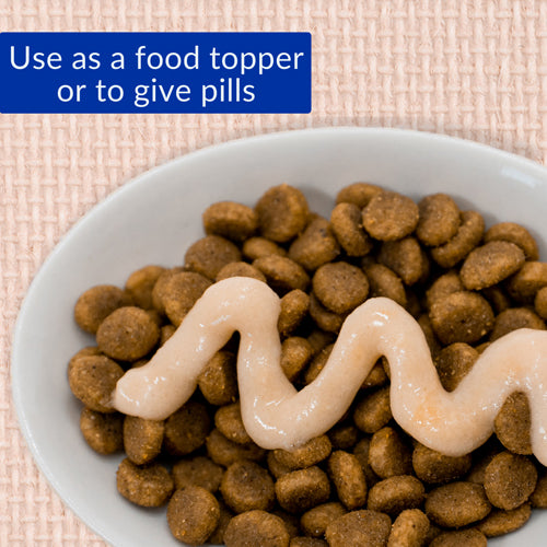 Churu Cat Kitten