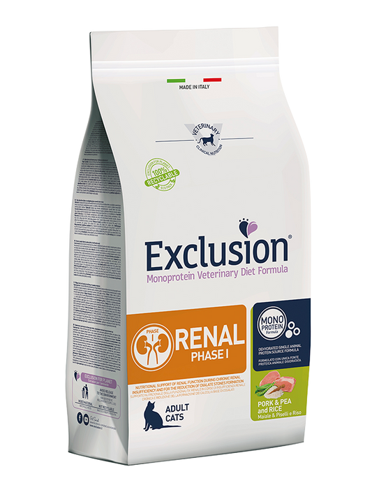 Renal Phase 2 Cat
