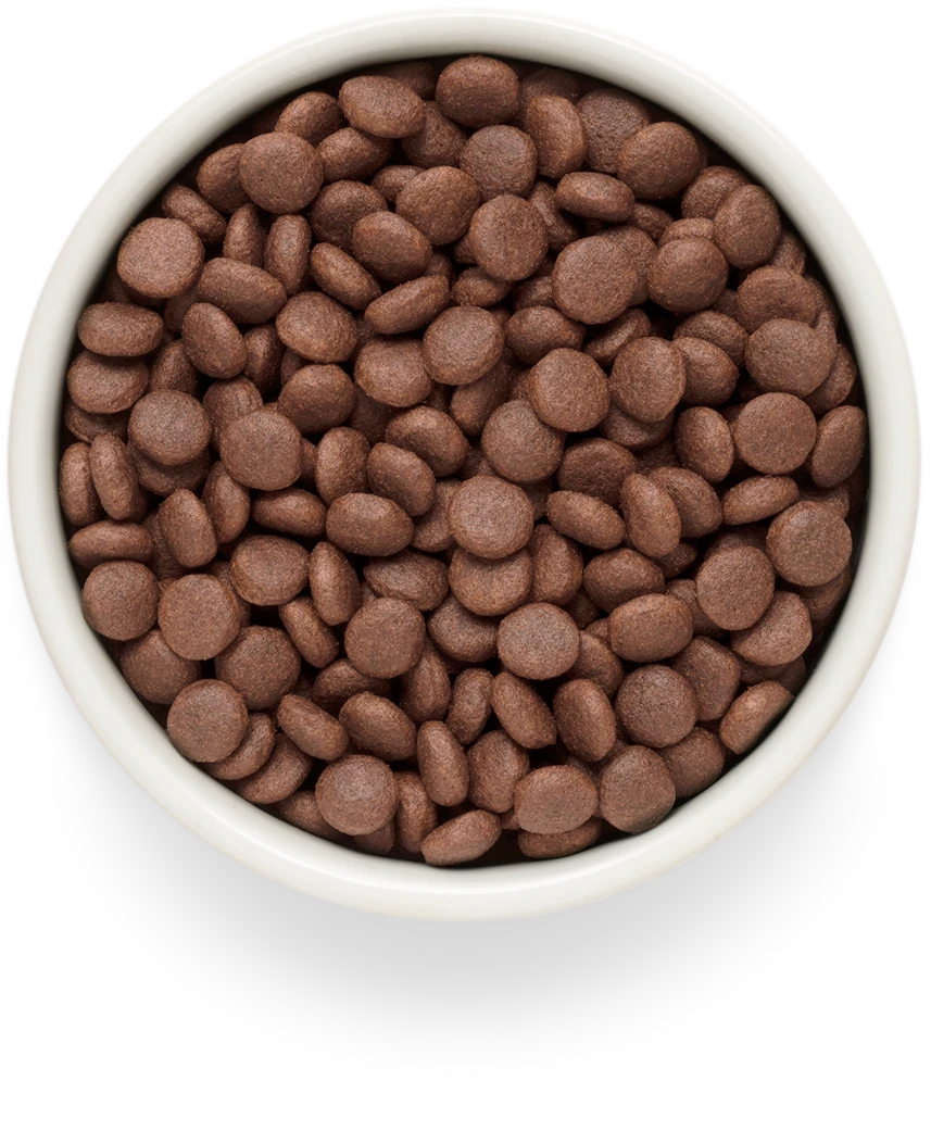 Adult Medium & Maxi Fresh Lamb