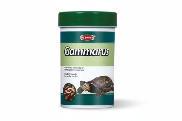 Gammarus