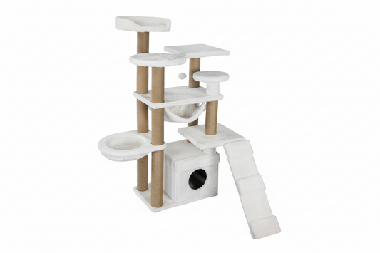 TVR 60-13 Short Hair