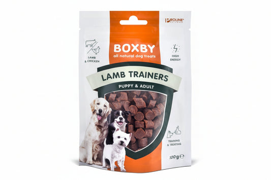 Lamb Trainers