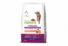 Adult Cat Sterilized Salmon