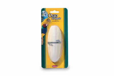 Cuttlefish Bone