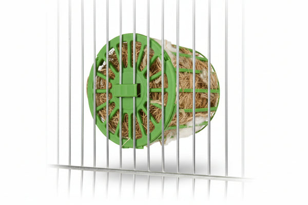 Fiber Kafes