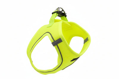 Mesh Harness VR02 Yellow