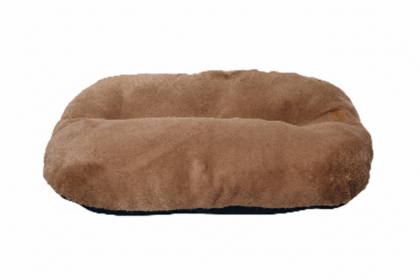 Brownie Galette VR01 Camel
