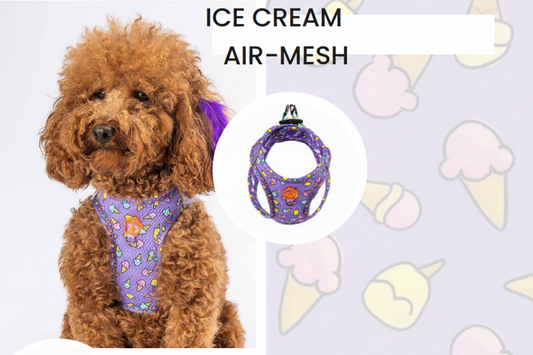 Mesh Harness Ice Cream