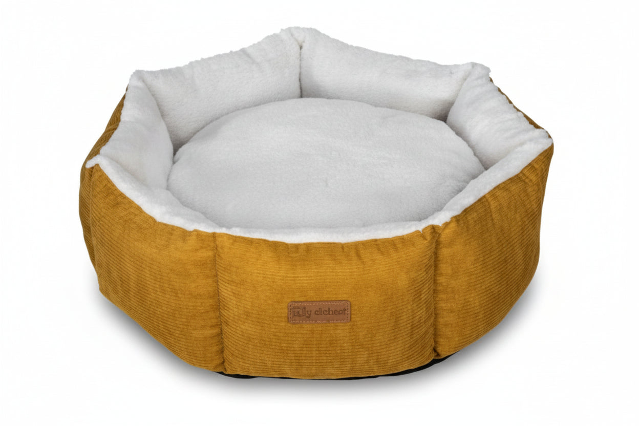 Cupcake VR05 White-Yellow