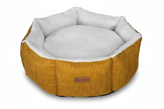 Cupcake VR05 White-Yellow