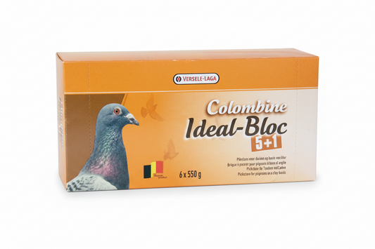 İdeal Blok