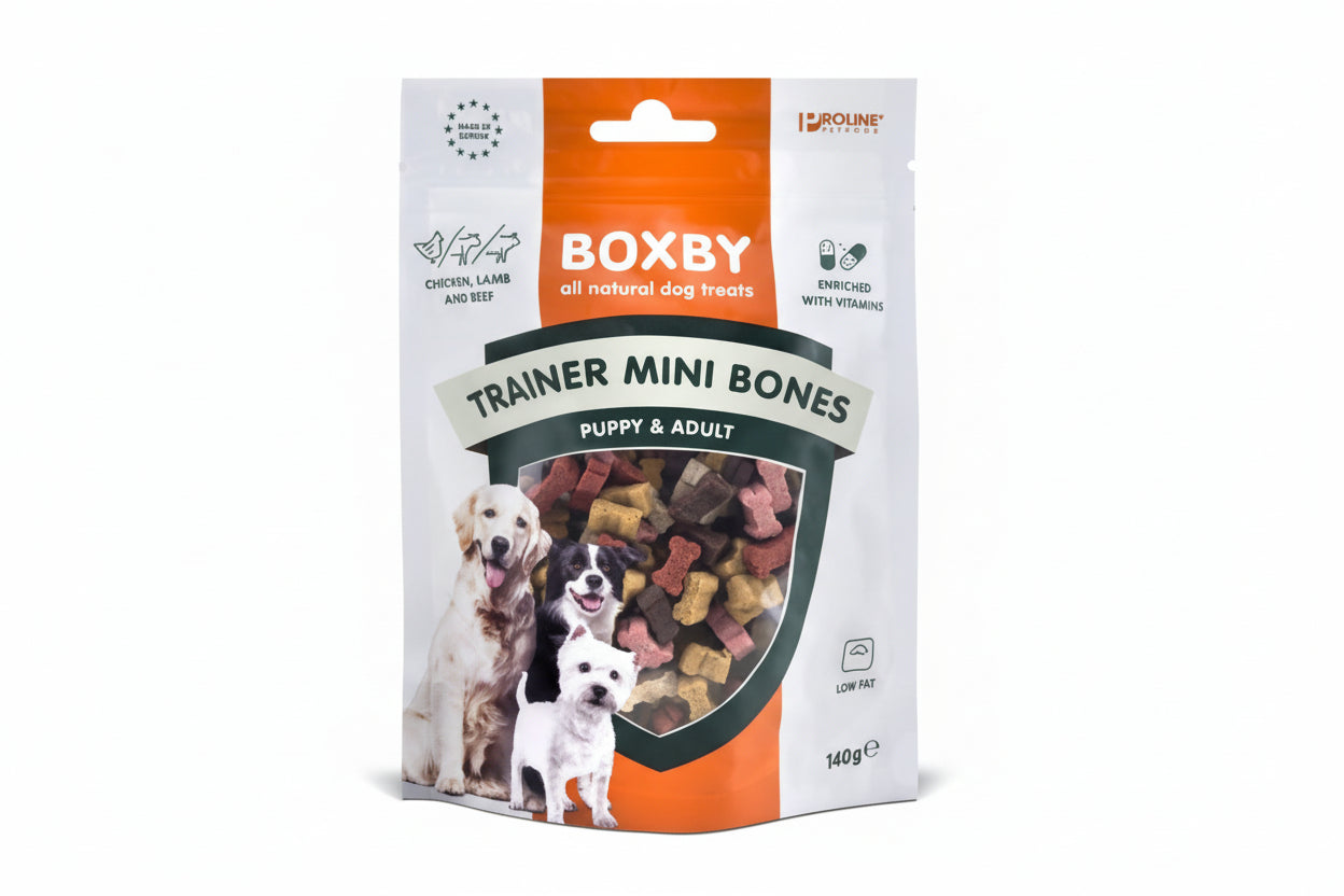 Trainer Mini Bones