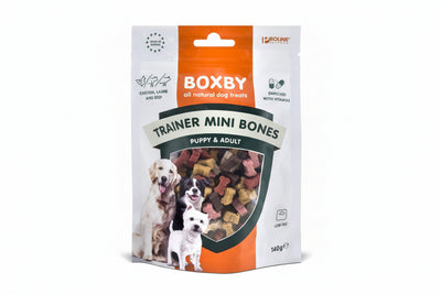Trainer Mini Bones