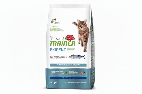 Exigent Cat Blue Fish