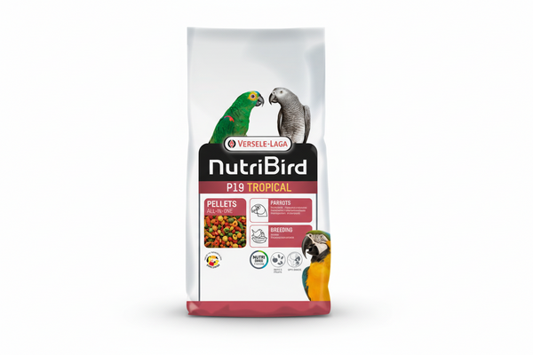 NutriBird P19 Tropical 10Kg