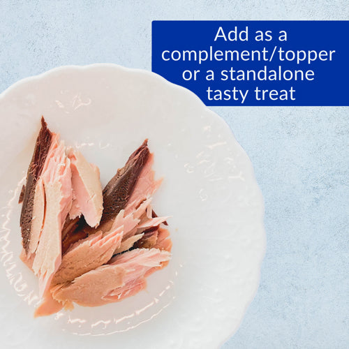 Grilled Tuna Fillet