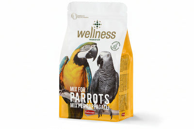 Wellness Papağan 2,5 Kg